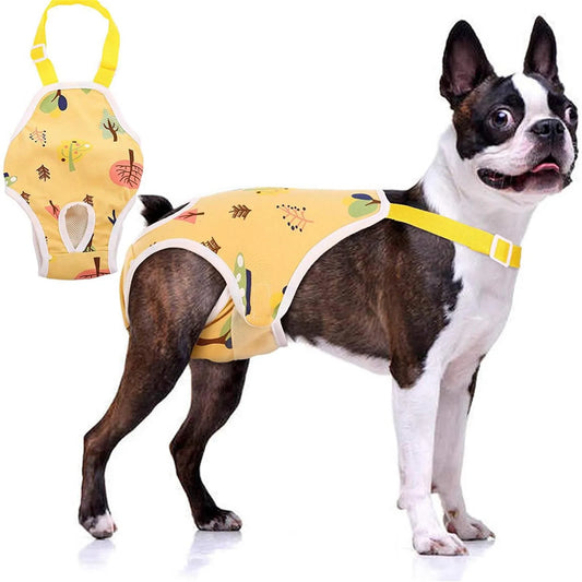 Unisex Adjustable Pet Physiological Pants – Breathable Dog Diaper & Sanitary Briefs